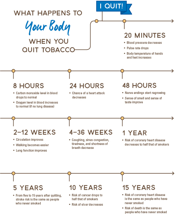What happens to your body when you quit smoking infographic